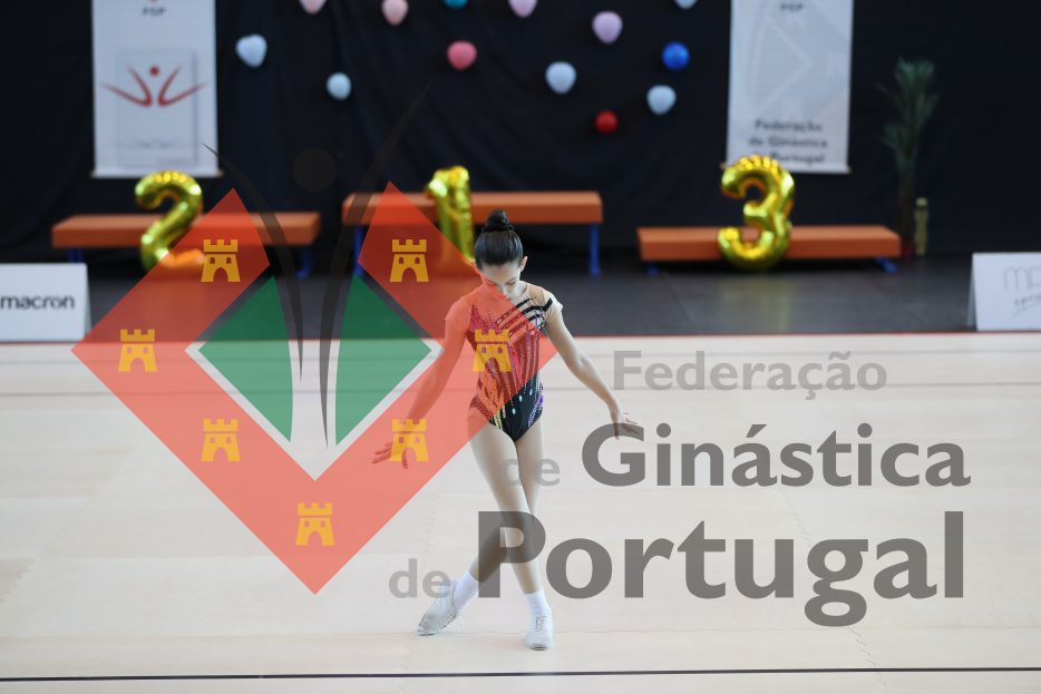 1698_Taça de Portugal AER